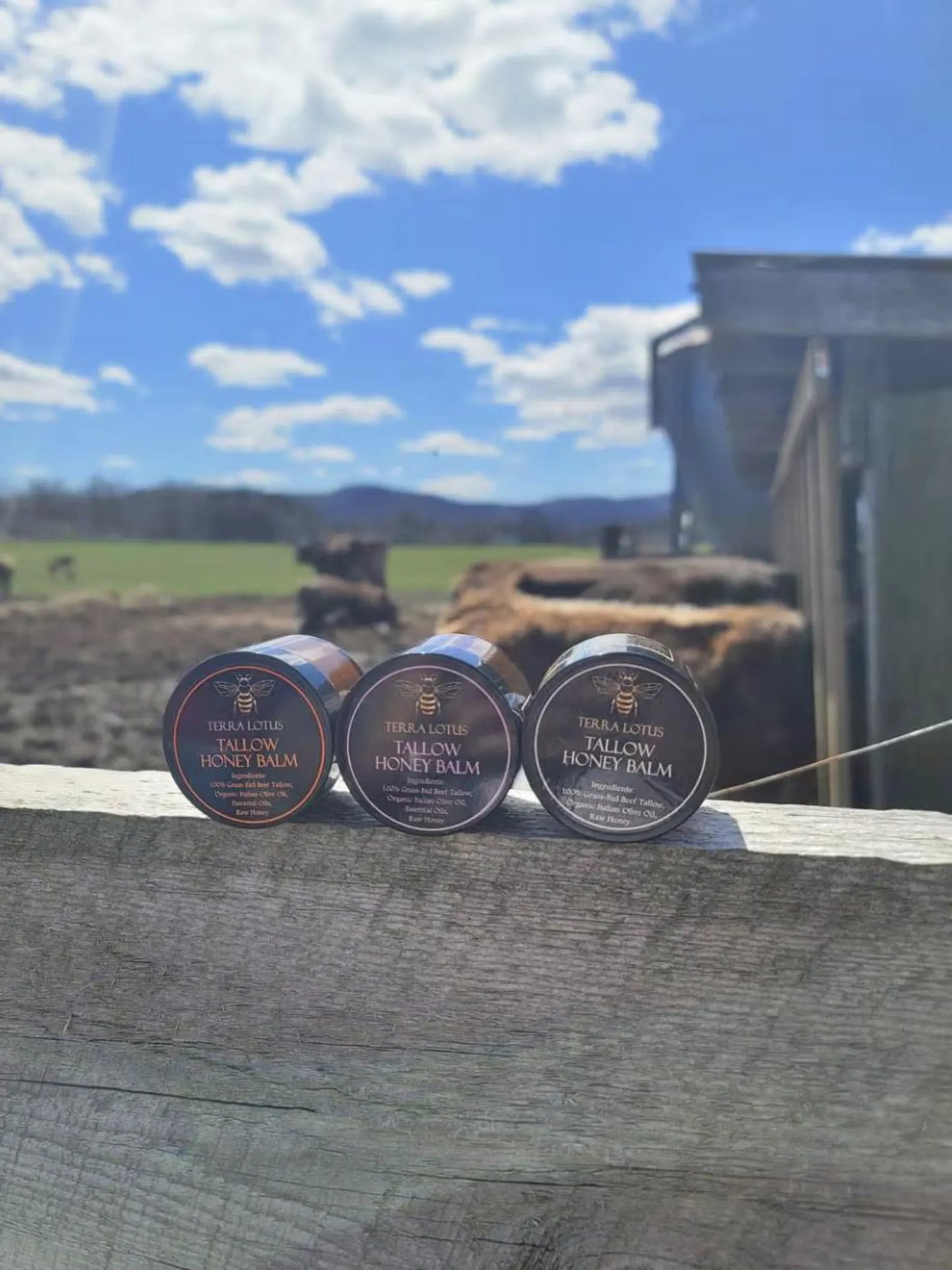 Tallow Honey Balm - Youthful Radiance Face Cream™